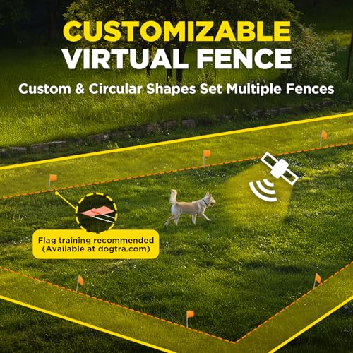 Image of Dogtra Training Flags for GPS Fence /SMART Fence - 50-Pack Neon Orange Boundary Markers - Flexible, Weather-Resistant Yard Flags for Wireless Fence Training, Pet Containment, Safe Outdoor Setup