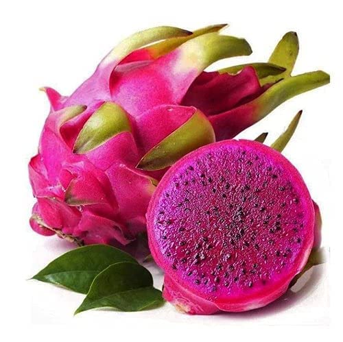 Pink Dragon Fruit (B0BZT9L82C) Amazon Price History, Amazon Price Tracker