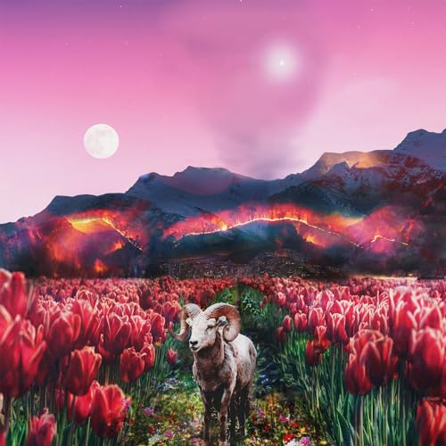 Linearwave & broeybeats.