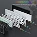 Womier M68 HE V2 Rapid Trigger Keyboard 60% Percent Custom Key Board Straps with Adhesive