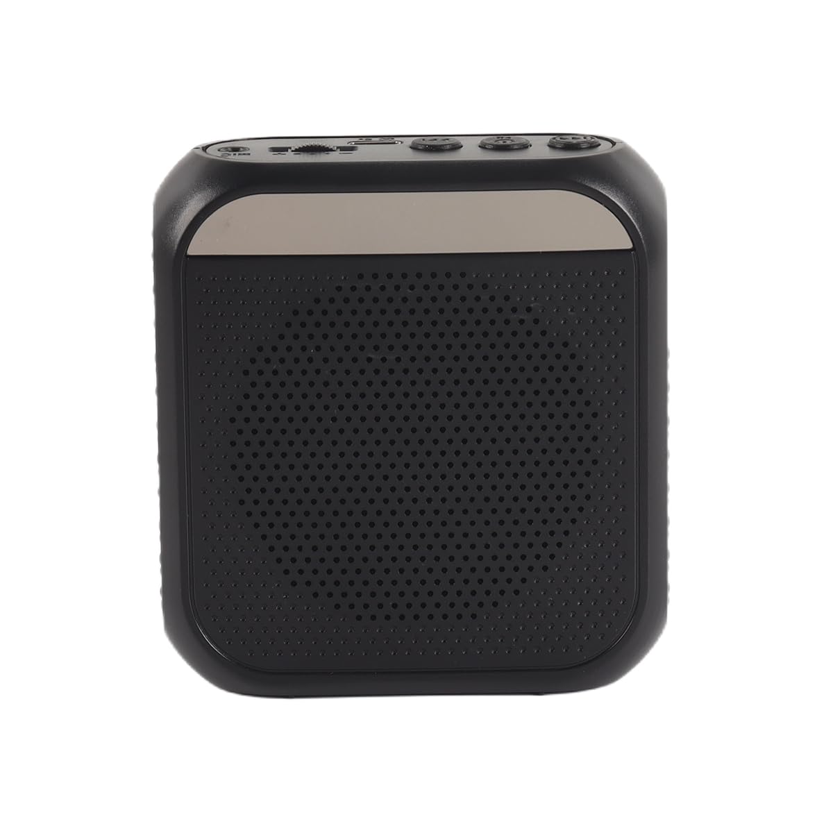 Enceinte Portable avec Microphone intégré pour Enseignants, réunions, Guides touristiques, Yoga, salles de Classe (Noir)