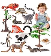 THINKBAY 12PCS Realistic Madagascar Animal Figurines Toys, Plastic Animals Jungle Animals Figures...