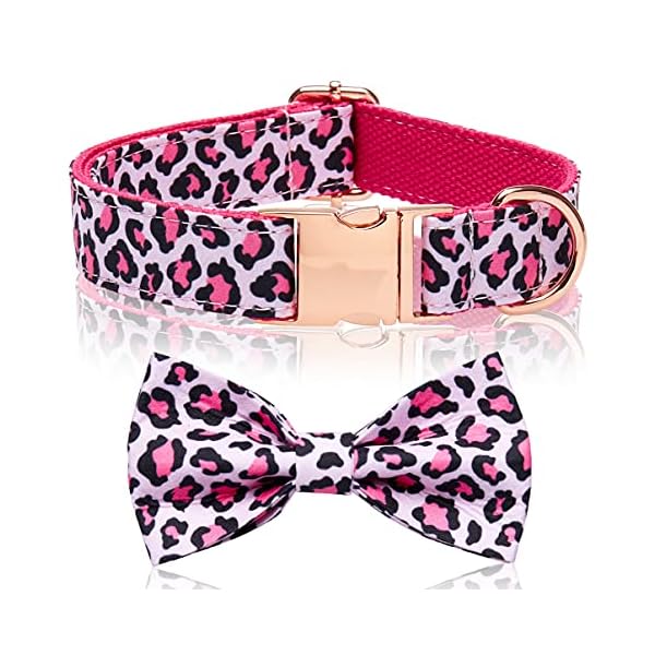 female dog collars