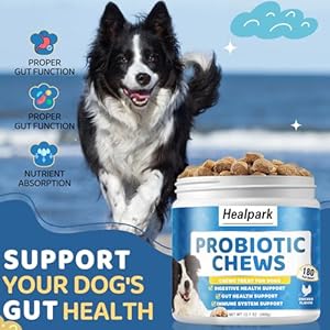 Probiotics for dogs  dog probiotics and digestive enzymes for gut health itchy skin allergies immunity yeast balance  prebiotics  reduce diarrhea gas  180 probiotic chews supplement for dogs   cucciolini doodles