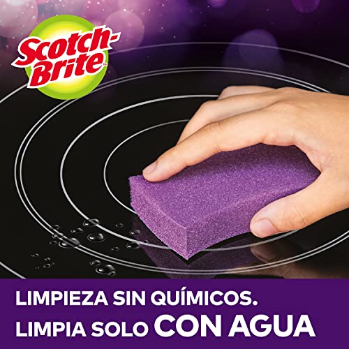 Miniatura 5 de Scotch-Brite Estropajo para vitrocerámica, paquete de 3 unidades