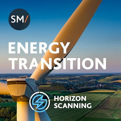 COP30 Unpacked: From pledges to pipelines - What COP30 means for energy and infrastructure