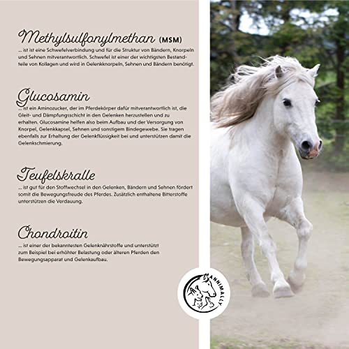 Annimally Gelenk Pulver für Pferde 850g mit Teufelskralle, MSM (Schwefel), Glucosamin, Hyaluronsäure, Chondroitin - Zusatzfutter für die Stärkung der Gelenke beim Pferd - Alternative zu Liquid