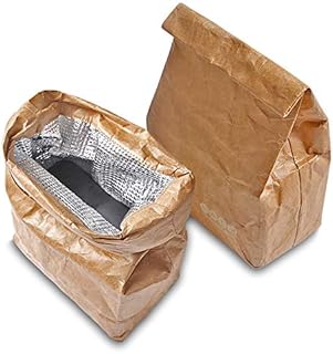 LELE LIFE 2Pack Insulated Brown Paper Lunch Bags, Reusable and Lightweight Retro Lunch Sacks, Durable Snack Bags for Work Picnic School