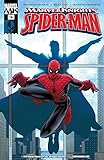  Marvel Knights Spider-Man (2004-2006) #16 (English Edition)