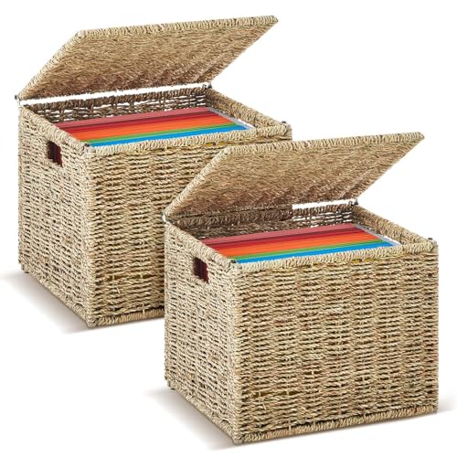 Jingmore 2 organizadores de cajas de archivos de hierba marina, plegables, tamaño carta, con tapa, caja de almacenamiento de documentos decorativa portátil para oficina/hogar, tamaño carta, color