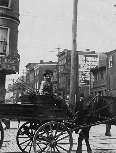 Robert Reynolds newsboy 228 Parrish St 14 years of age Selling papers 4 weeks Average earnings 50 cents per week Own choice Earnings not needed at home Visits saloons Poster Print (18 x 24)