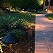 Totority 2pcs Solar Lawn Lights Ground Stake Decorative Lights No Tools Outdoor Landscape Lighting Eco-Friendly