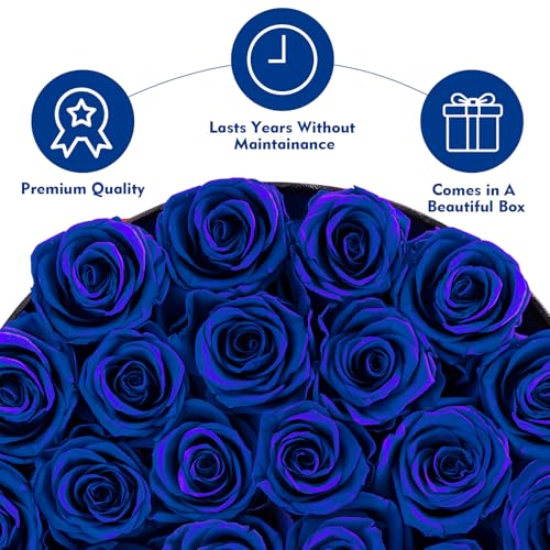 Impouo Forever Flowers, 27 Roses in A Box, Real Preserved Roses, Birthday Gift for Women, Mother's Day, Anniversary, Red Rose (Blue, 27 Rose) by Impouo - Image 8