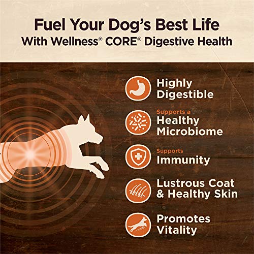 Wellness Core Marrow Roasts, Beef, 8 Ounce Bag Bundle + Wellness Core Digestive Health Dry Dog Food, Whitefish & Brown Rice, 4 Pound Bag #TOP2