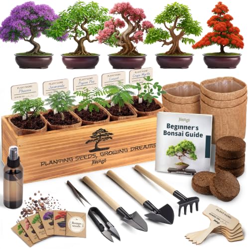 Product Image of the AVERGO Bonsai Tree Kit Deluxe - 5X Unique Japanese Bonzai Trees | Complete Indoor Bonsai Starter Kits for Growing Trees – DIY Gardening Gifts for Mother, Women & Men
