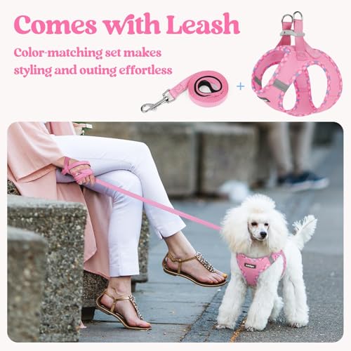 Image of rabbitgoo Dog Harness Small Sized and Leash Set, Step-in Puppy Pet Vest