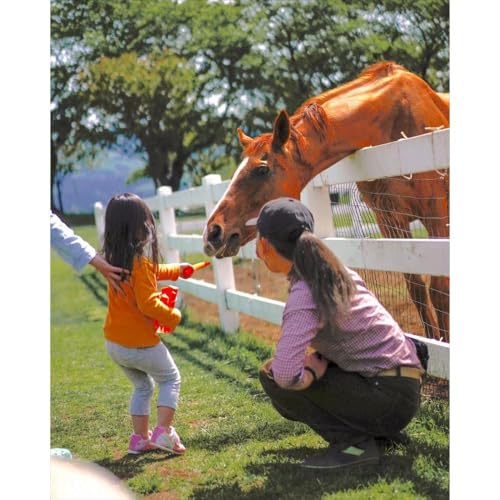 ホースセラピー体験チケット 1名様分 約45分