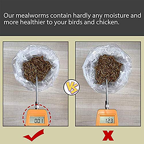 Handpoint 11 Lbs Dried Mealworms, 100% Non-Gmo Natural High-Protein,Treats For Chicken, Fish, Bird Food(11Lb) #TOP4