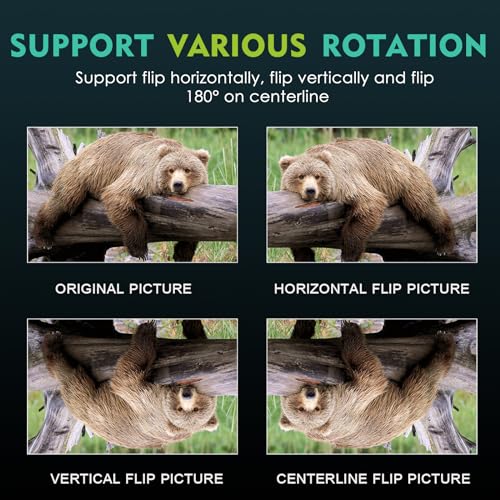 Amazon.co.jp: Spolehli: ビデオウォールコントローラー