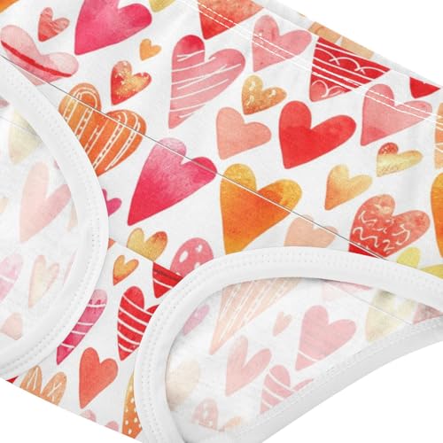 Joisal Fun Toddler Underwear Floral 2t Cotton Cute Panties Girl Cute Hearts Pink Cartoon Briefs Undies Kids4