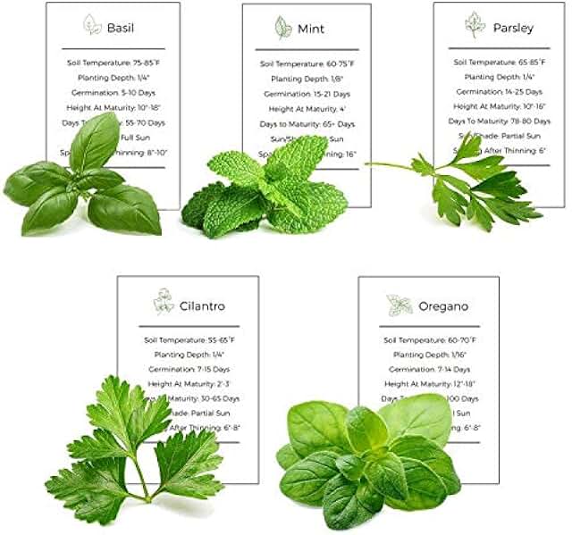 Amazon.com: tower garden seeds