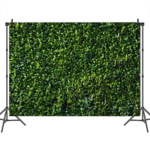 Fondo fotográfico HQM hojas verdes 10X8 FT miniatura 4