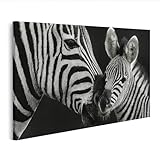 yeezy zebra madrid Variante: lienzo de 100 x 57 cm (ID de diseño: LSXN)