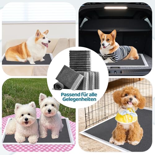 100 Stück PIPI Matten für Hunde 33 × 45 cm, Welpen Unterlagen Trainingspads, Super Saugfähige Oberfläche, Puppy Pads für Kranke und Inkontinente Tiere