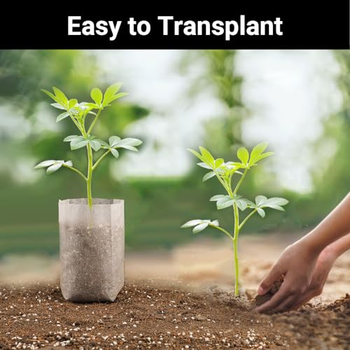 ENPOINT Sacos de cultivo de plantas, 200 unidades de bolsa de berçário de plantas 14 x 16,3 cm, bols