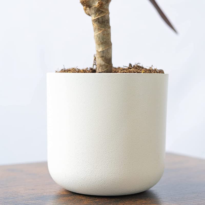 SMPLY. Macetero Decorativo de Terracota Redondo para Plantas Interior y Exterior Ideal para Terrazas y Jardínes 15 x 15 cm Blanco — view 2