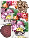 Seed Needs Roots & Bulbs Seeds to Plant Rainbow Beet Blend 2 Packs