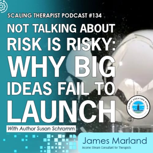 STP 134 | Not Talking About Risk Is Risky: Why Big Ideas Fail to Launch with Susan Schramm