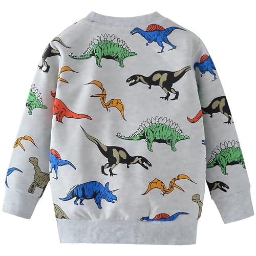 Image of AIWUHE Toddler Cotton Sweatshirt Boys Girls Pullover Long Sleeve Tops 2-6Y