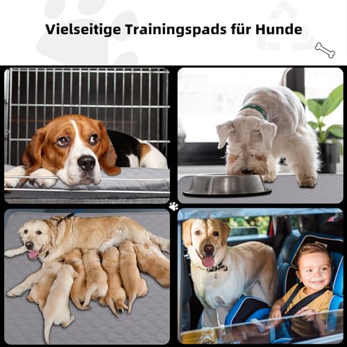 Waschbar Haustier-Urinunterlage, 2 Stück 100*70 cm Wiederverwendbare Welpenunterlagen Matte für Hunde, Super Saugfähig, Wasserdicht, Urinierunterlagen für Hunde, Auto, Reisen (Khaki * 2)