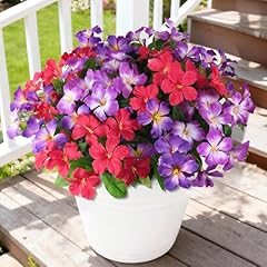 Deep Purple+ Light Purple+red