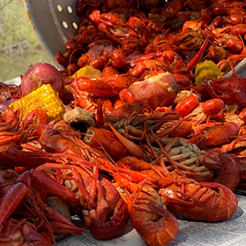 Bayou Classic Sab6 Stainless Bayou Banjo Cooker - 22-In Propane Burner For Outdoor Cooking - Crawfish Boiler, Homebrew Burner, Fits Large Stock Pots, Cast Iron Kettles - Seafood Boil Pot, Stew, Gumbo #TOP7