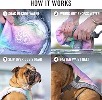 canada pooch dog cooling vest