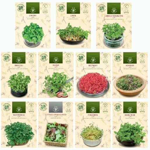 Nojus Microgreen Sprouting Mix Semillas Set – 11 paquetes de semillas de hortalizas – diferentes semillas de plantas – Jardín Semillas Plantas Semillas – Semillas Microgreen Box