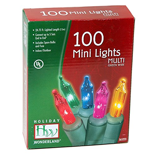 Holiday Wonderland #565223 100-Count Multi Color Christmas Light Set (2-pack)