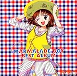 ママレード・ボーイ ベスト・アルバル シングル・コレクション
