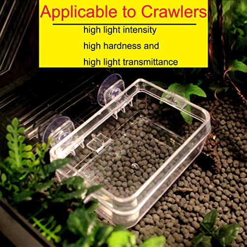 Tfwadmx 2 Pcs Chameleon Bowl, Reptile Feeding Food, Water Dish Gecko Worm Feeder Anti-Escape Chameleon Supplies Accessories For Lizard Bearded Dragon Snakes #TOP2