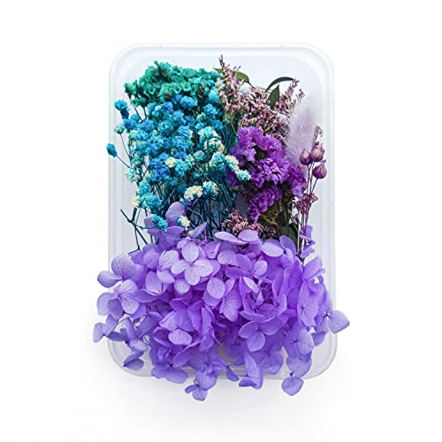 Flores secas naturales prensadas para decoración y manualidades miniatura 5