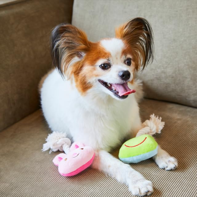 NAKAMA Juguete Mordible Hamigaki Apple Para Perros Pequeños miniatura 3