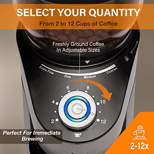 Conical Burr Coffee Grinder, Anti-Static Electric Coffee Bean Grinder For Mess-Free Use, Automatic Coffee Grinder With 35 Settings For Espresso, French Press, Pour Over And Drip Brewing #TOP2