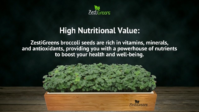 Broccoli Sprouting & Microgreens Seeds - 8oz. Organic, Non-GMO, Heirloom Sprout Seeds Come in Food Grade Colorful Container with Lid for Easier Scooping & Keeping Fresher