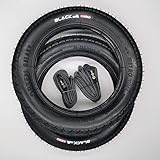 Black1 2x 12 Zoll Galaxy Reifen (2 Stück) mit 1mm Pannenschutz