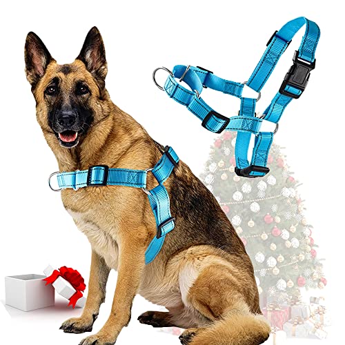 Pet ARTIST Collare per cani in vera pelle con manico resistente, per cani di taglia media e grande, per addestramento a piedi, boxer Doberman Pitbull Bulldog