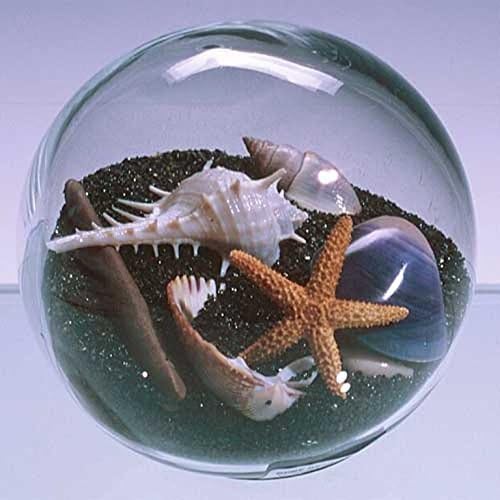 Sand & Shell Sandglobe Paperweight 4-inch Black Sand