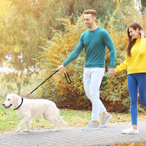 2 STK Freestyle Dressurhalsung Set, Zugstopp Halsband und Hundeleine Set,1.4 cm Retriever Halsband Hundeleine,Robustem Nylon Trainingshalsband Hund, Lederimitat mit Metallring