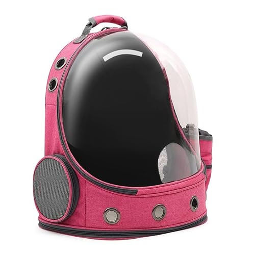 ybg L[ bN ^ g\ bN L bN ^ L L[obO  L[ bNe ʋC FD s/ʉ@/ʋ@/ЊQp L L[ ybgobO (sN)